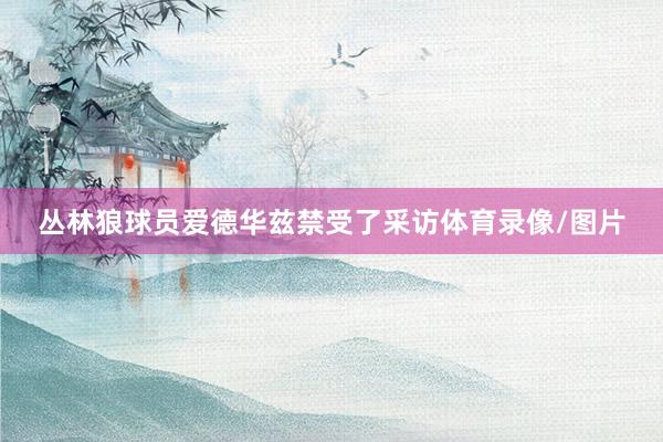 丛林狼球员爱德华兹禁受了采访体育录像/图片
