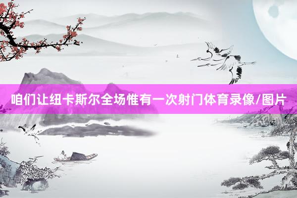 咱们让纽卡斯尔全场惟有一次射门体育录像/图片
