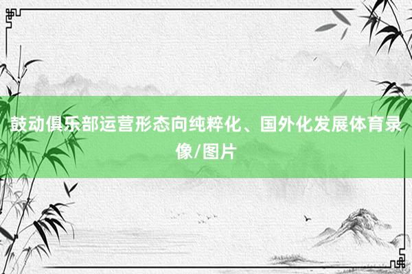 鼓动俱乐部运营形态向纯粹化、国外化发展体育录像/图片