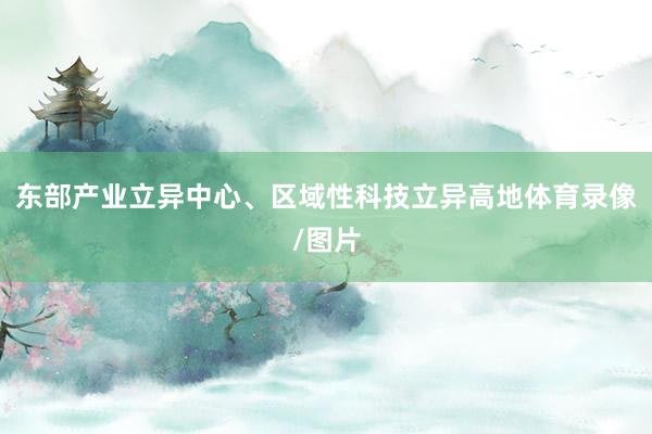 东部产业立异中心、区域性科技立异高地体育录像/图片
