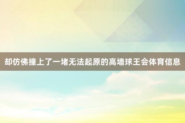 却仿佛撞上了一堵无法起原的高墙球王会体育信息