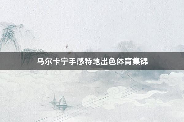 马尔卡宁手感特地出色体育集锦