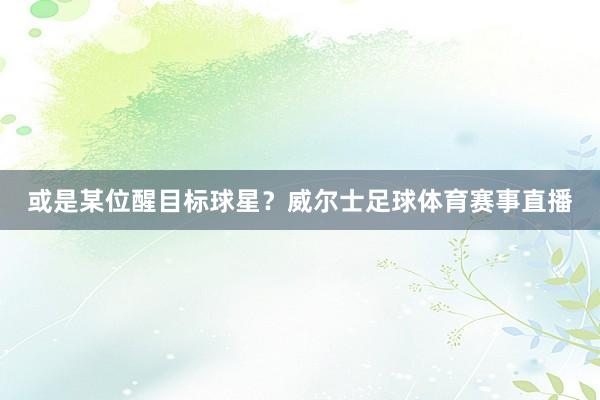 或是某位醒目标球星？威尔士足球体育赛事直播