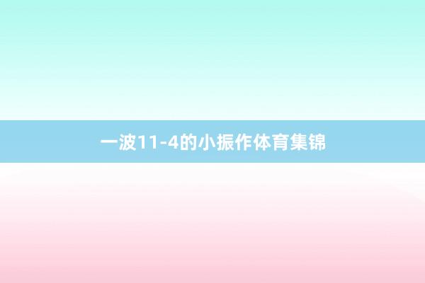 一波11-4的小振作体育集锦