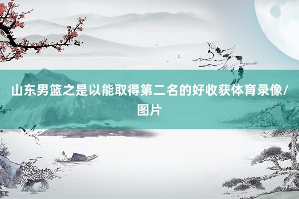 山东男篮之是以能取得第二名的好收获体育录像/图片