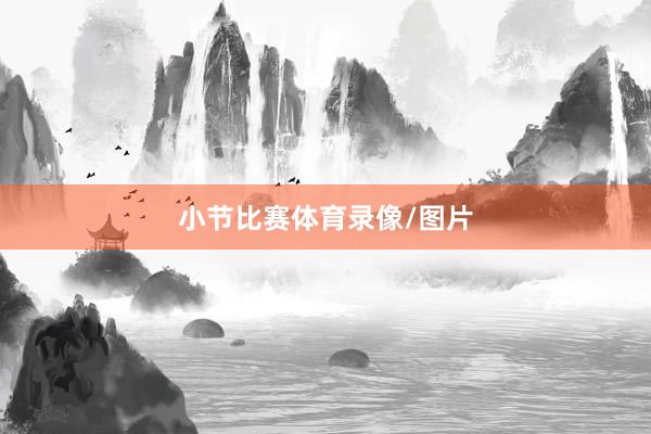 小节比赛体育录像/图片