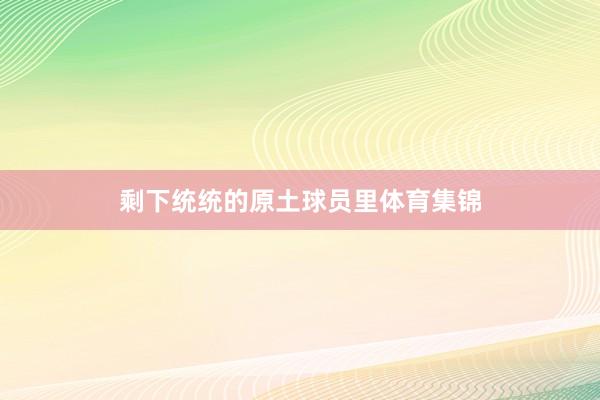剩下统统的原土球员里体育集锦