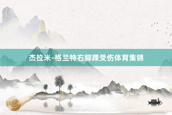 杰拉米-格兰特右脚踝受伤体育集锦