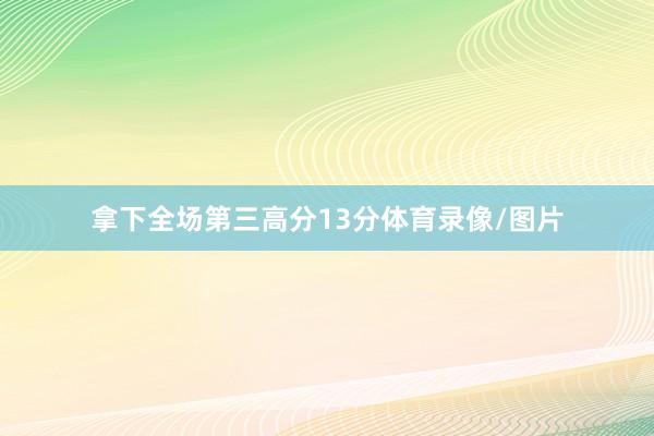 拿下全场第三高分13分体育录像/图片