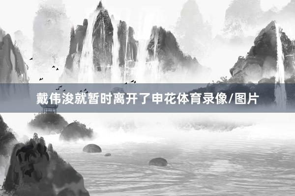 戴伟浚就暂时离开了申花体育录像/图片