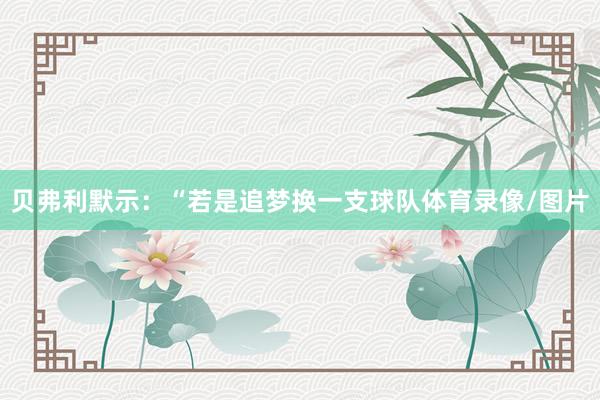 贝弗利默示：“若是追梦换一支球队体育录像/图片