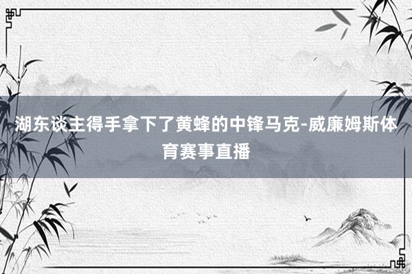 湖东谈主得手拿下了黄蜂的中锋马克-威廉姆斯体育赛事直播