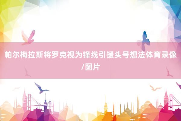 帕尔梅拉斯将罗克视为锋线引援头号想法体育录像/图片