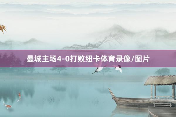 曼城主场4-0打败纽卡体育录像/图片