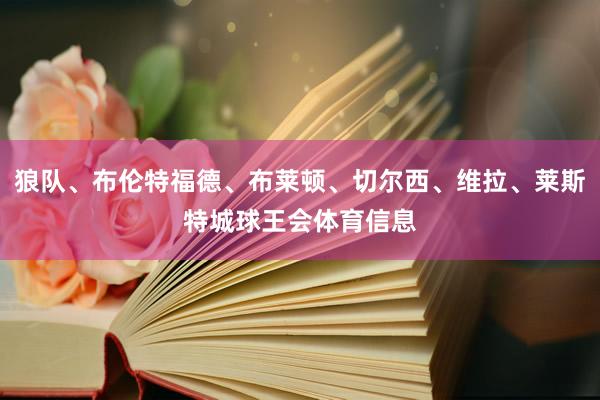 狼队、布伦特福德、布莱顿、切尔西、维拉、莱斯特城球王会体育信息