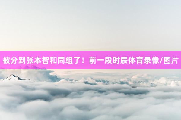被分到张本智和同组了！前一段时辰体育录像/图片
