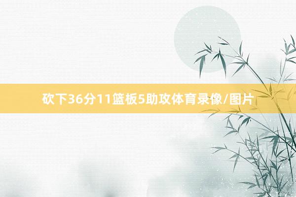 砍下36分11篮板5助攻体育录像/图片