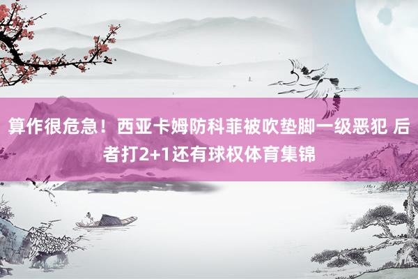 算作很危急！西亚卡姆防科菲被吹垫脚一级恶犯 后者打2+1还有球权体育集锦
