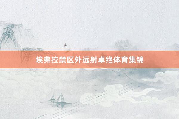 埃弗拉禁区外远射卓绝体育集锦