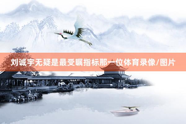 刘诚宇无疑是最受瞩指标那一位体育录像/图片