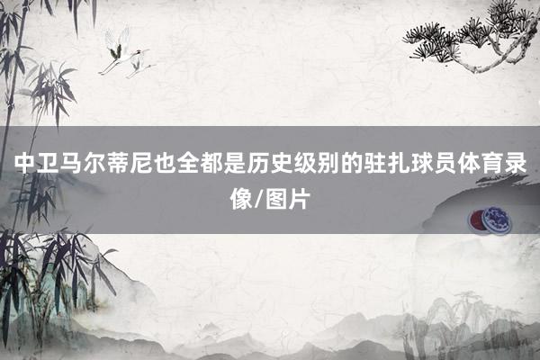 中卫马尔蒂尼也全都是历史级别的驻扎球员体育录像/图片