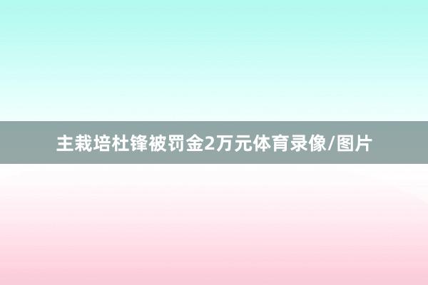 主栽培杜锋被罚金2万元体育录像/图片
