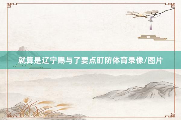 就算是辽宁赐与了要点盯防体育录像/图片