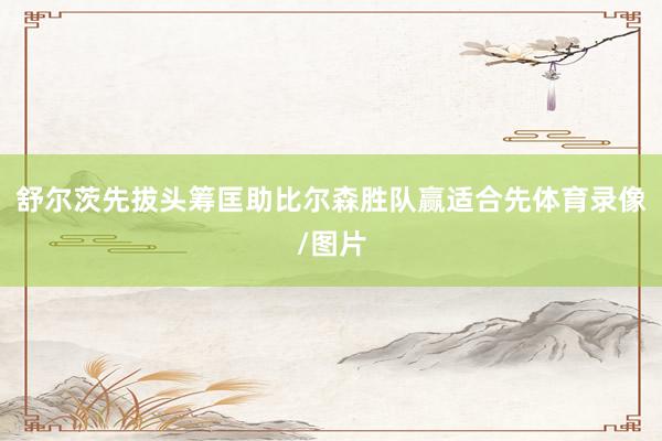 舒尔茨先拔头筹匡助比尔森胜队赢适合先体育录像/图片