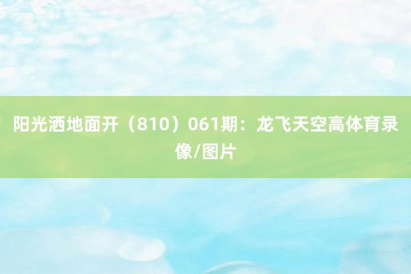 阳光洒地面开（810）　　061期：龙飞天空高体育录像/图片
