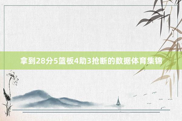 拿到28分5篮板4助3抢断的数据体育集锦