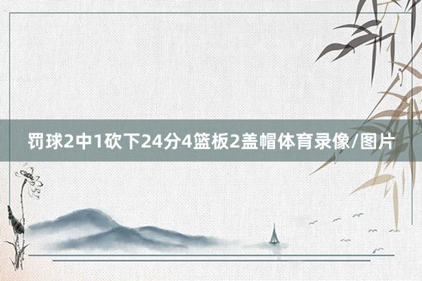 罚球2中1砍下24分4篮板2盖帽体育录像/图片