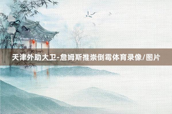天津外助大卫-詹姆斯推崇倒霉体育录像/图片