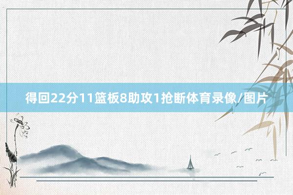 得回22分11篮板8助攻1抢断体育录像/图片