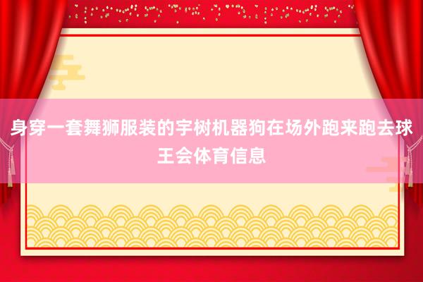 身穿一套舞狮服装的宇树机器狗在场外跑来跑去球王会体育信息