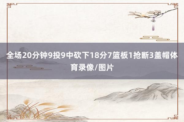 全场20分钟9投9中砍下18分7篮板1抢断3盖帽体育录像/图片