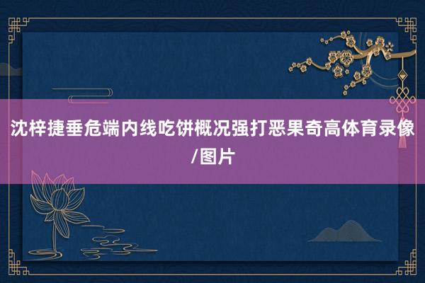沈梓捷垂危端内线吃饼概况强打恶果奇高体育录像/图片