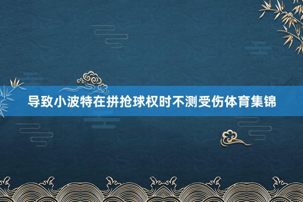 导致小波特在拼抢球权时不测受伤体育集锦
