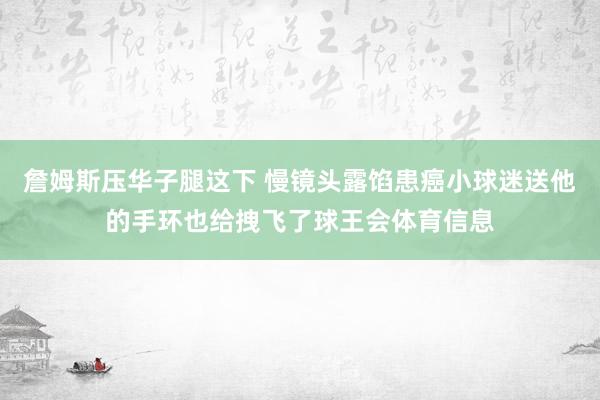 詹姆斯压华子腿这下 慢镜头露馅患癌小球迷送他的手环也给拽飞了球王会体育信息