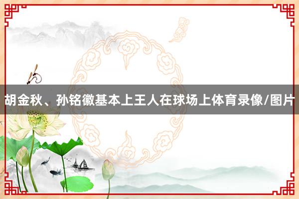 胡金秋、孙铭徽基本上王人在球场上体育录像/图片