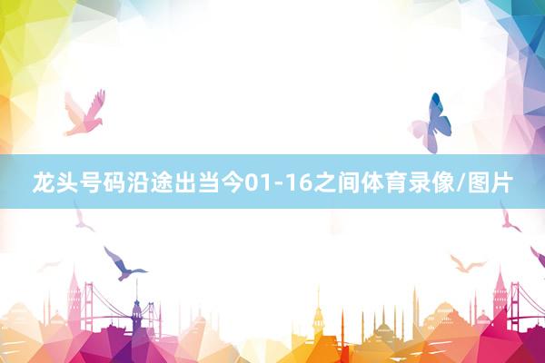 龙头号码沿途出当今01-16之间体育录像/图片