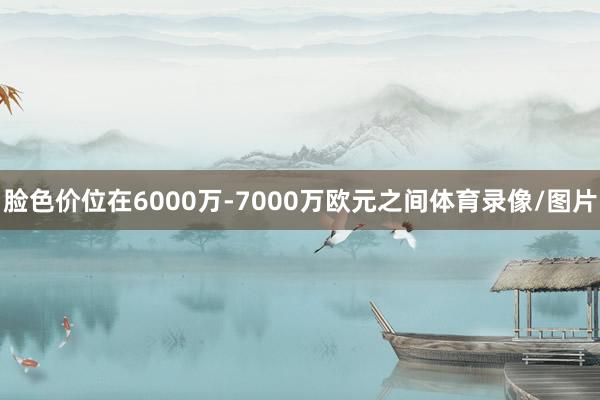 脸色价位在6000万-7000万欧元之间体育录像/图片