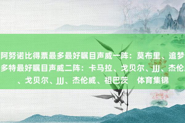 阿努诺比得票最多最好瞩目声威一阵：莫布里、追梦、丹尼尔斯、阿门、多特最好瞩目声威二阵：卡马拉、戈贝尔、JJJ、杰伦威、祖巴茨    体育集锦