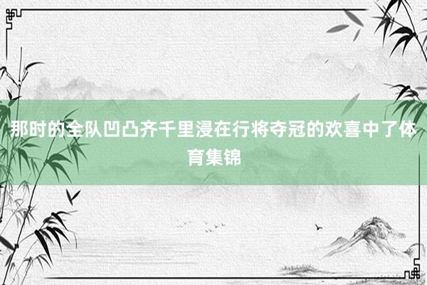 那时的全队凹凸齐千里浸在行将夺冠的欢喜中了体育集锦