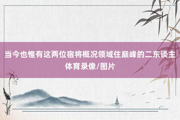 当今也惟有这两位宿将概况领域住巅峰的二东谈主体育录像/图片