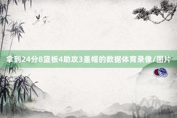 拿到24分8篮板4助攻3盖帽的数据体育录像/图片