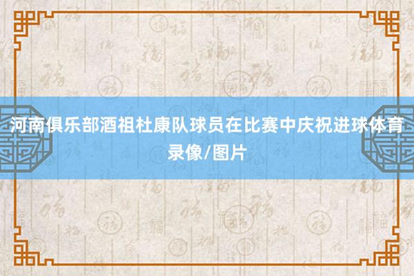 河南俱乐部酒祖杜康队球员在比赛中庆祝进球体育录像/图片