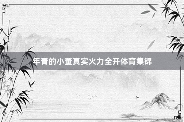 年青的小董真实火力全开体育集锦