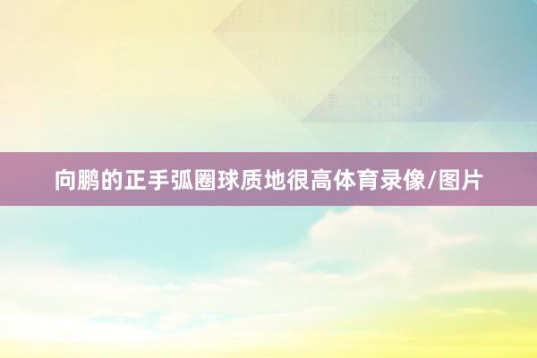 向鹏的正手弧圈球质地很高体育录像/图片