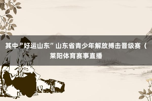 其中“好运山东”山东省青少年解放搏击晋级赛（莱阳体育赛事直播