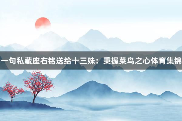 一句私藏座右铭送给十三妹：秉握菜鸟之心体育集锦